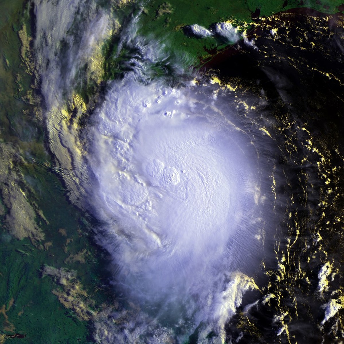 Ouragan Erika (2003)