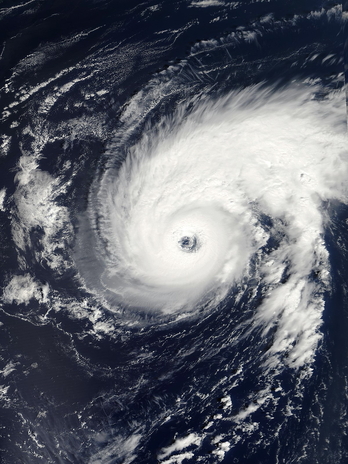 Ouragan Erin (2001)