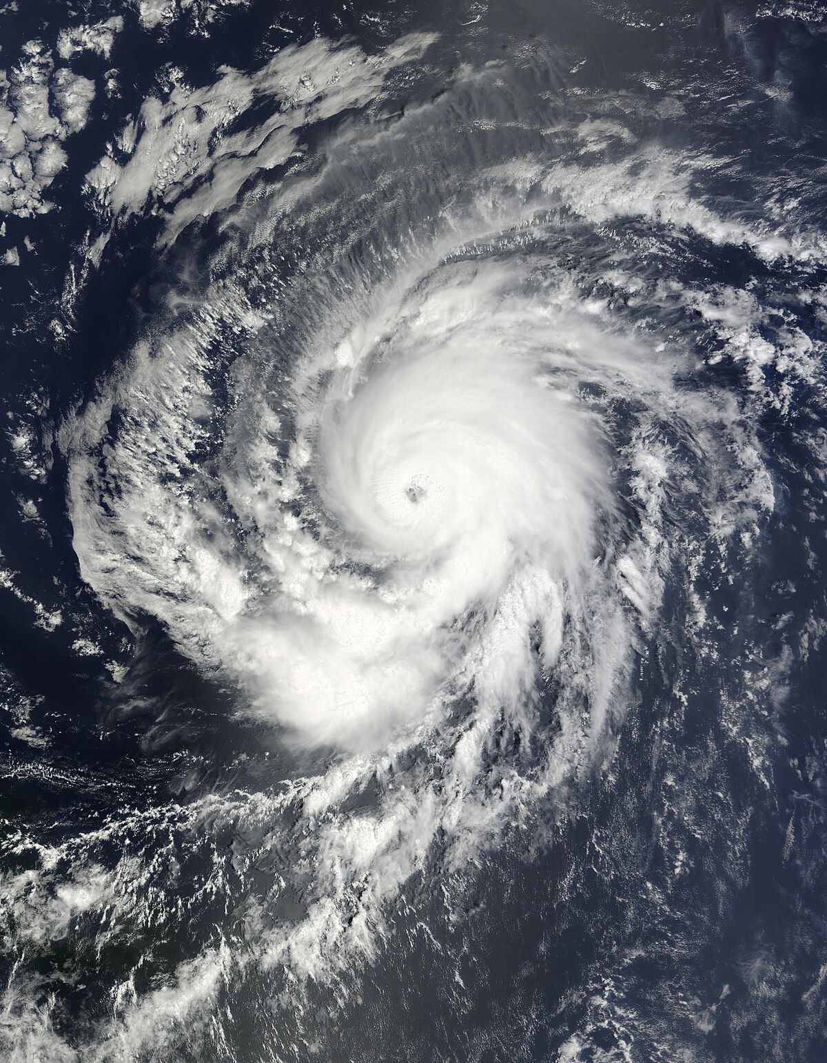 Ouragan Fred (2009)