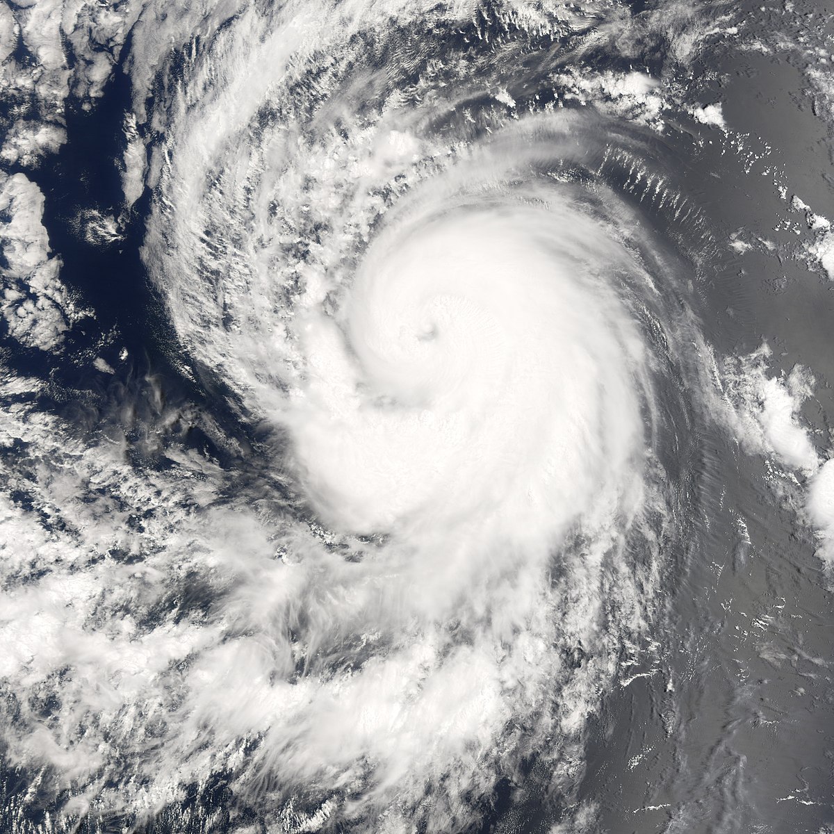Ouragan Hector (2006)