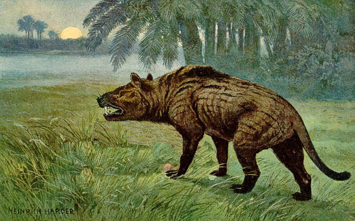 Oligocène