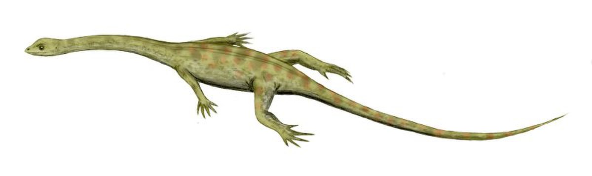 Hyphalosaurus