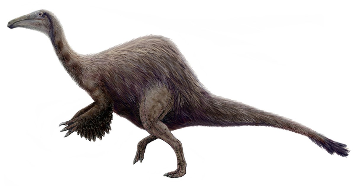 Reconstitution hypothétique de Deinocheirus.