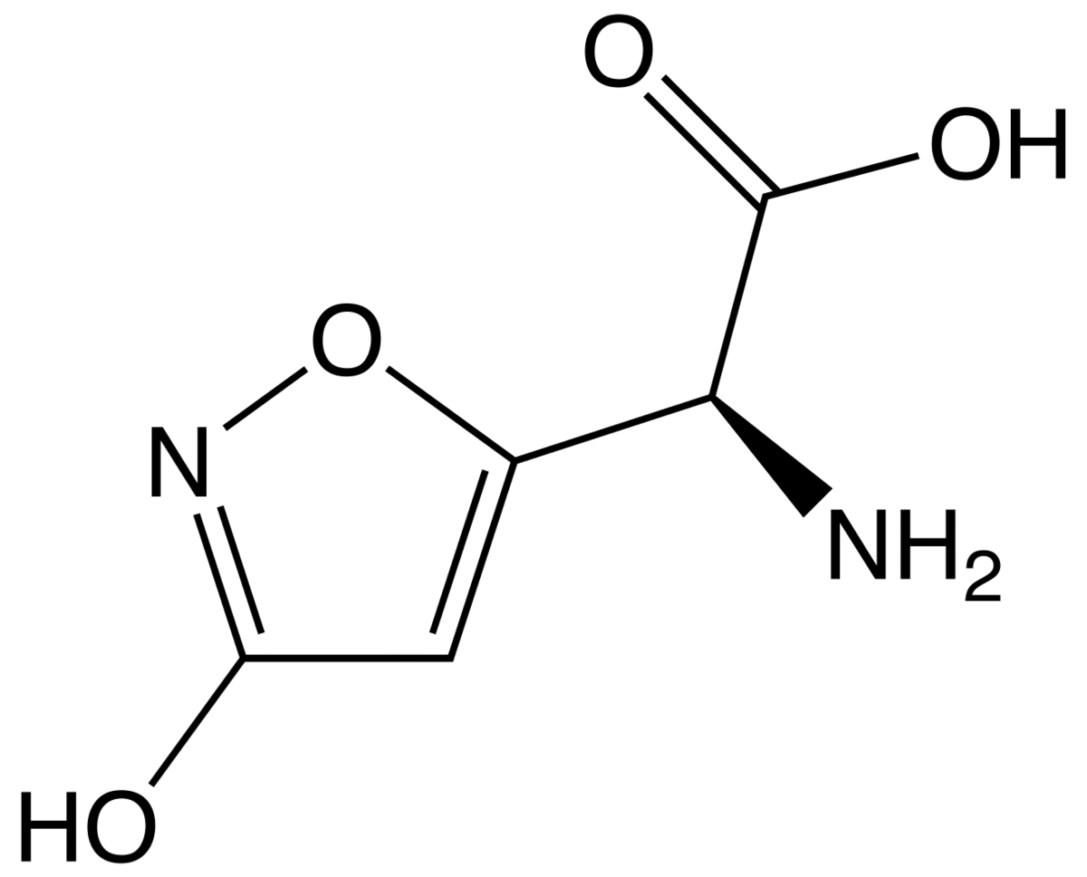 Acide iboténique
