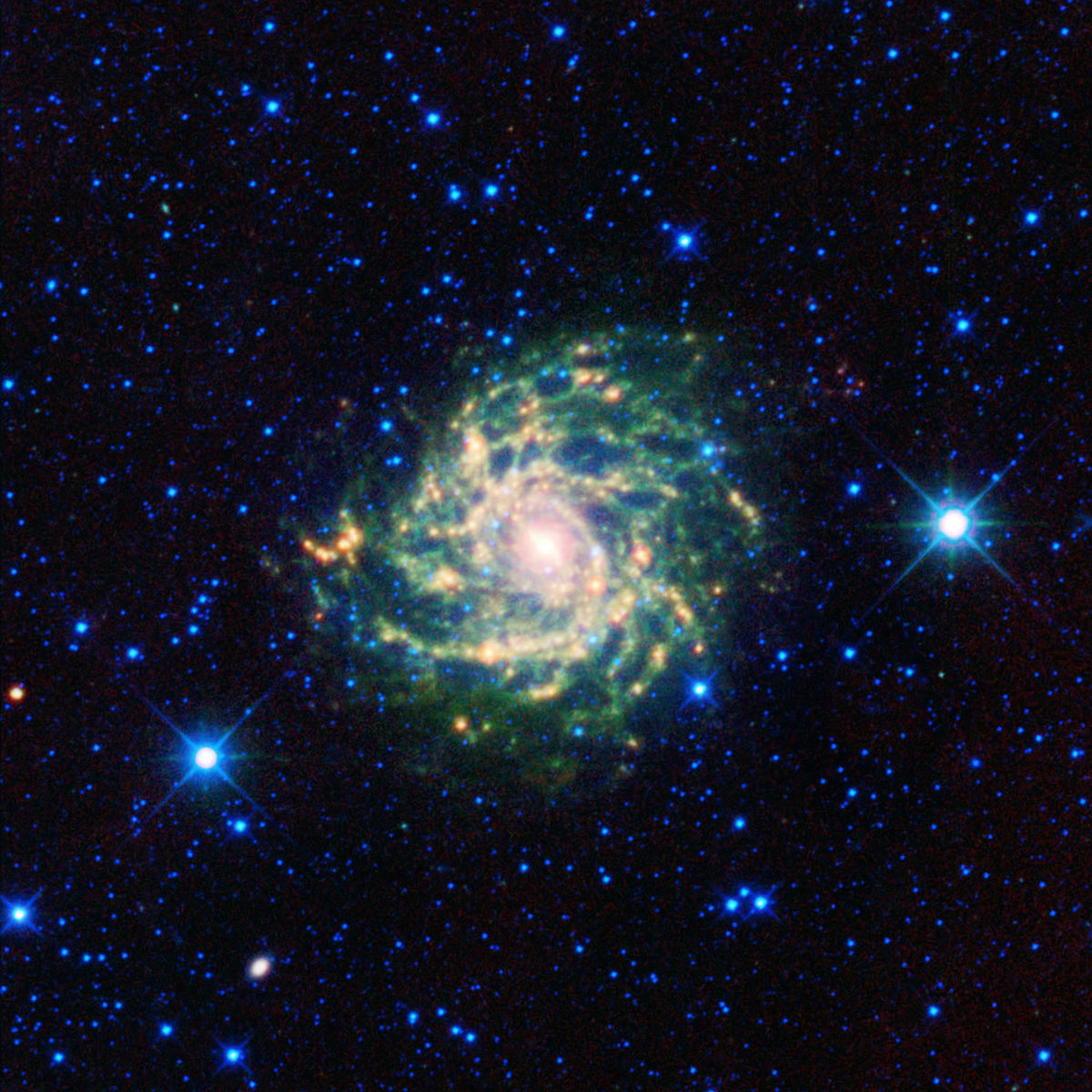 IC 342.jpg