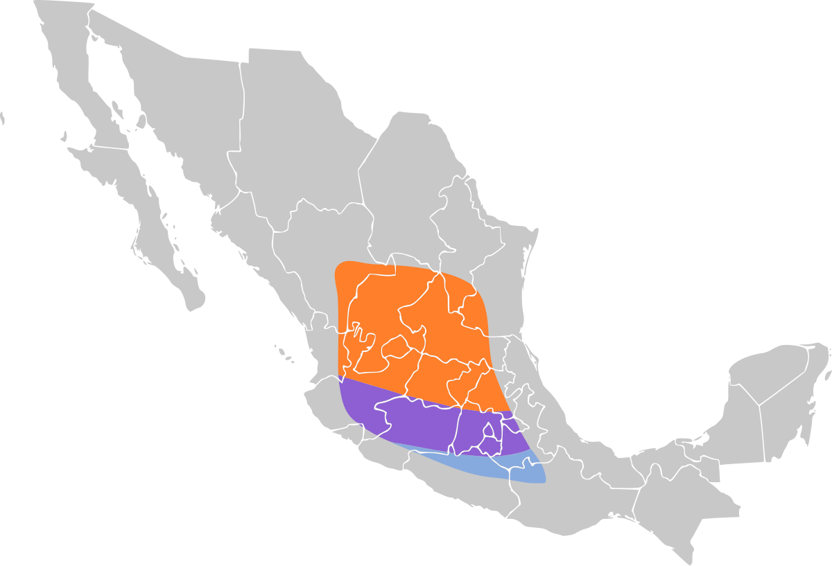 Icterus abeillei map.svg