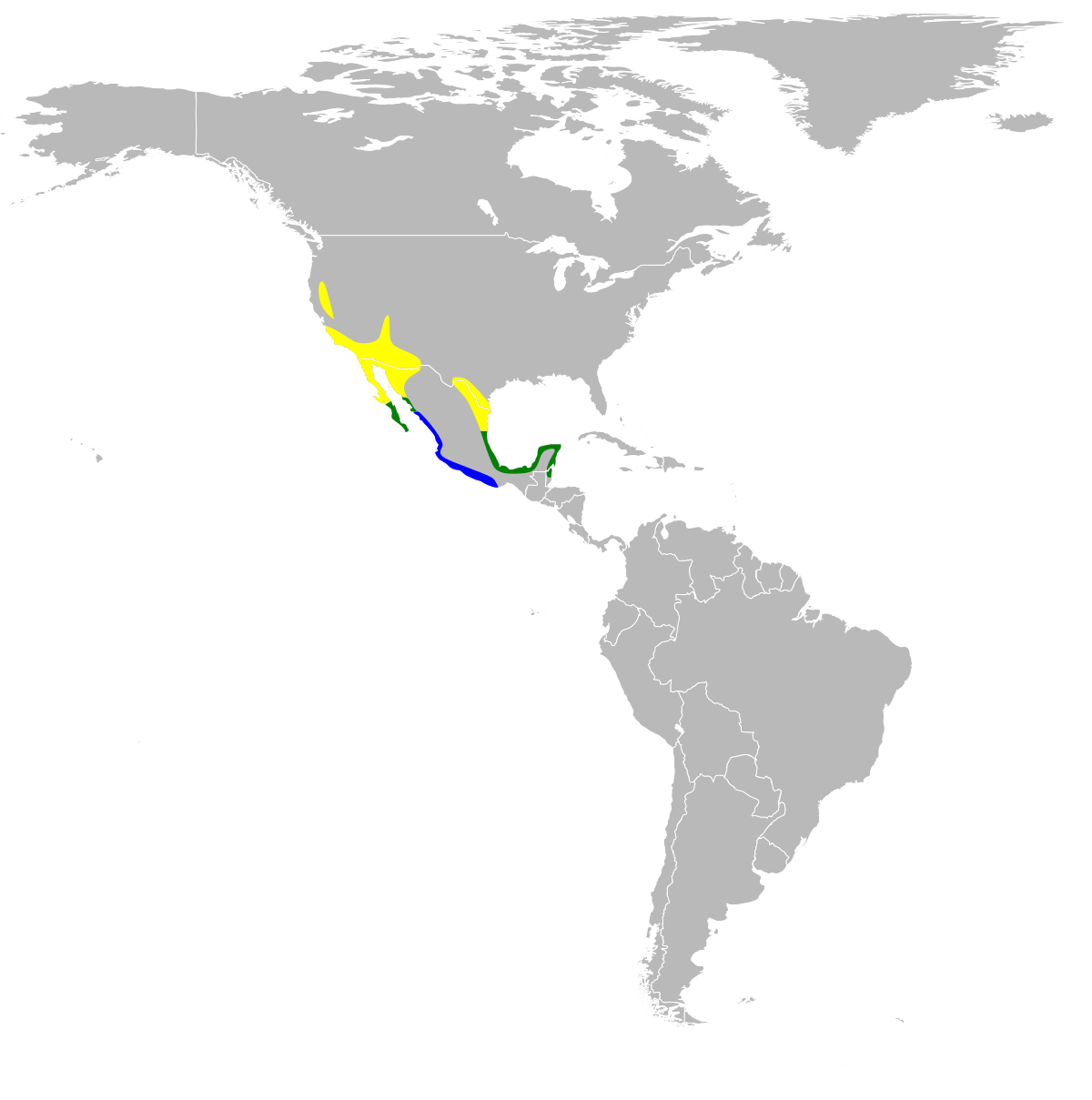 Icterus cucullatus map.svg