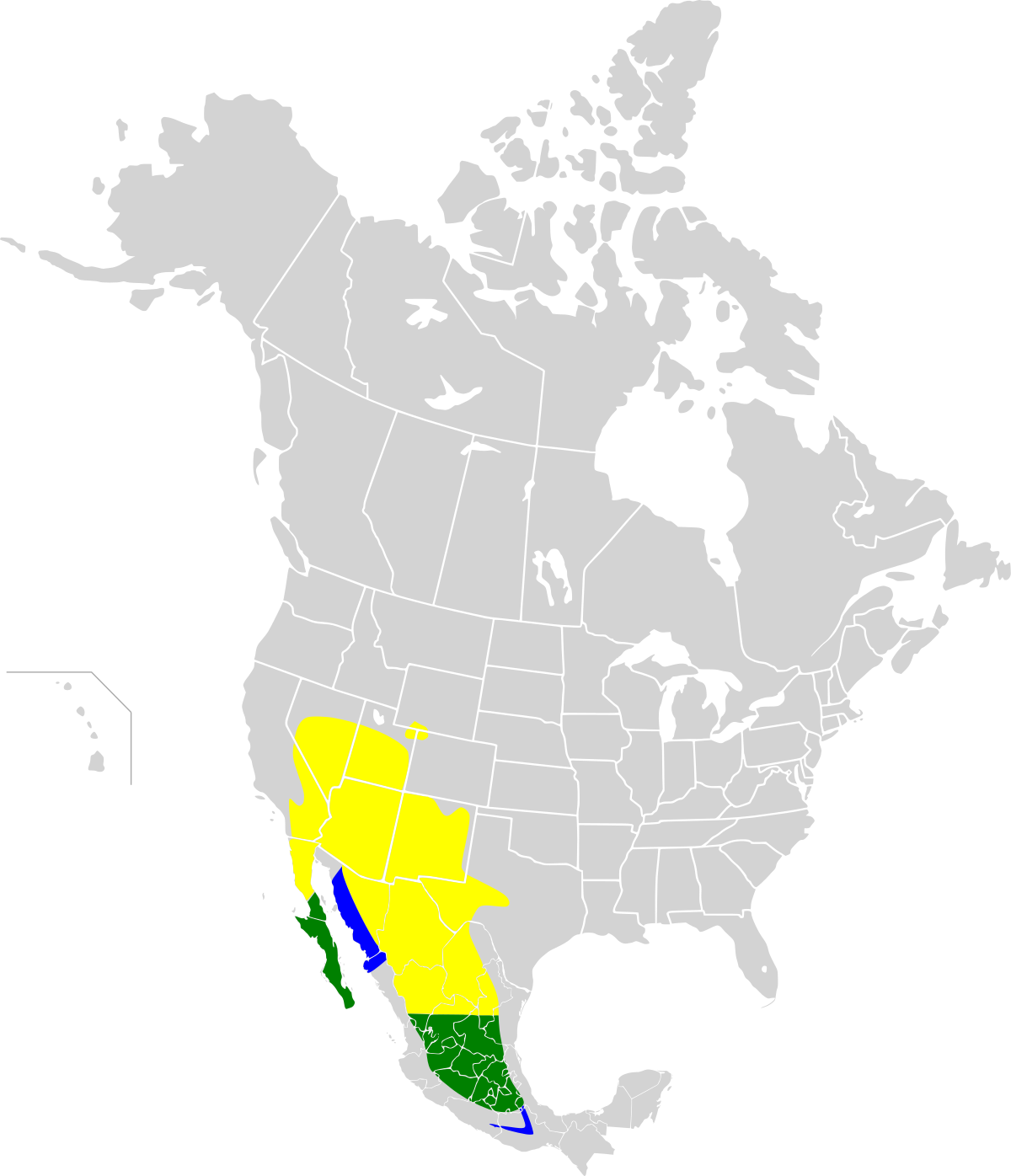 Icterus parisorum map.svg