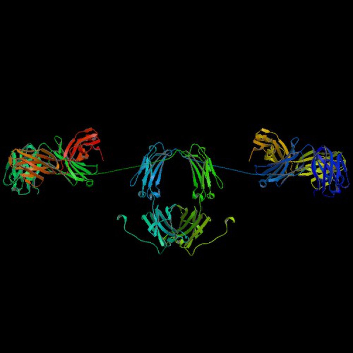 Superfamille des immunoglobulines