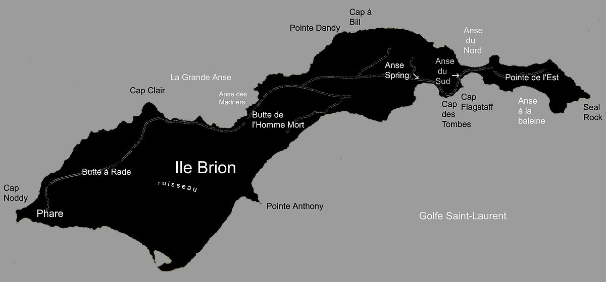 Île Brion