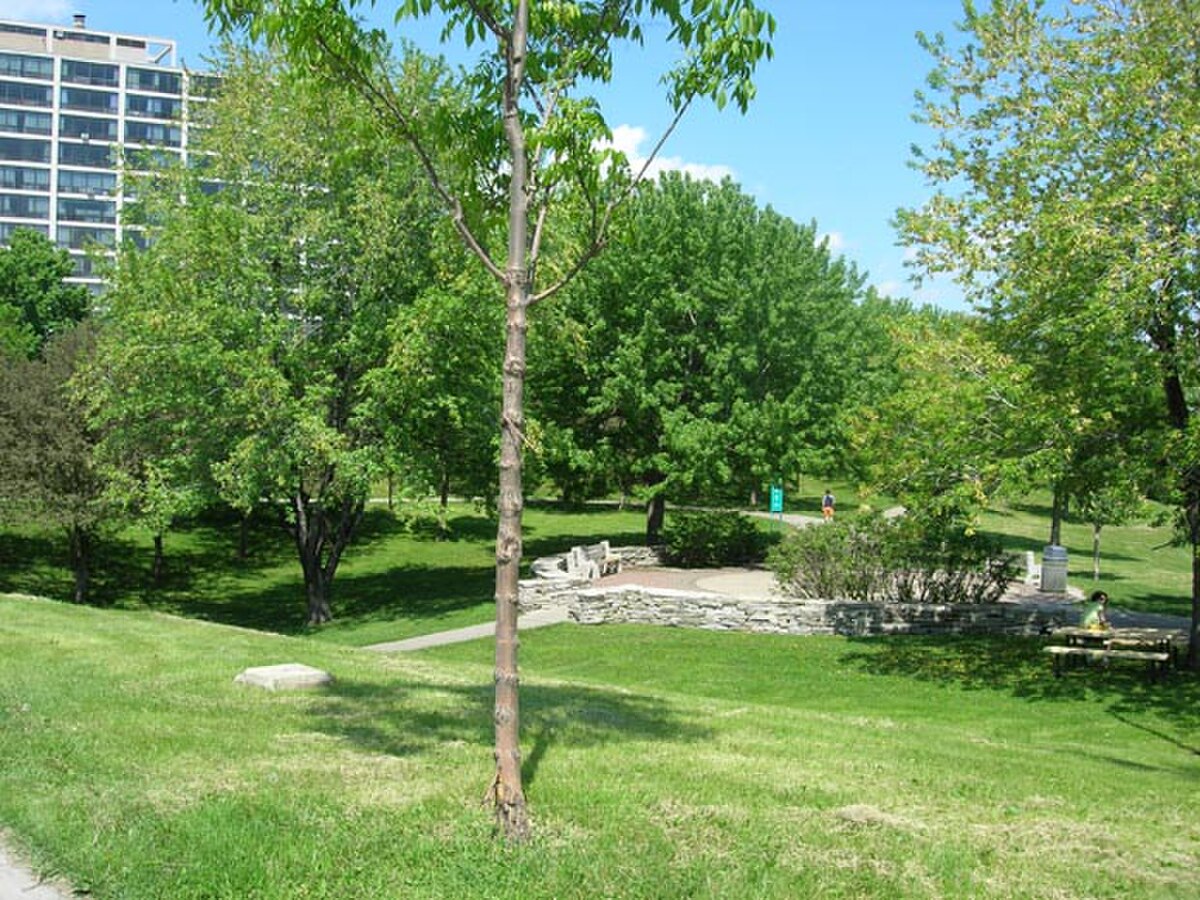 Ile-des-Soeurs.jpg