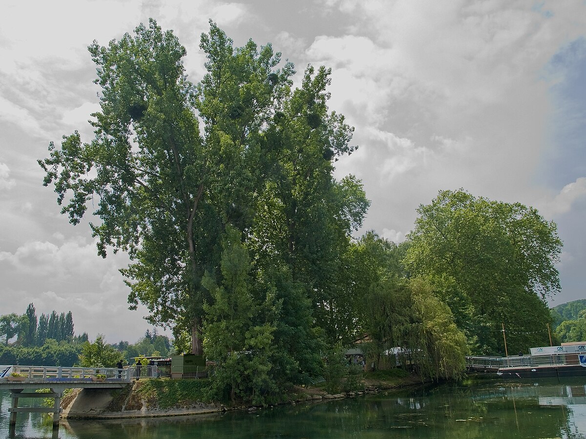 Île