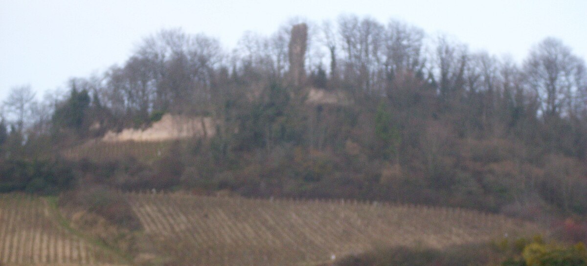 Château de Montaigu