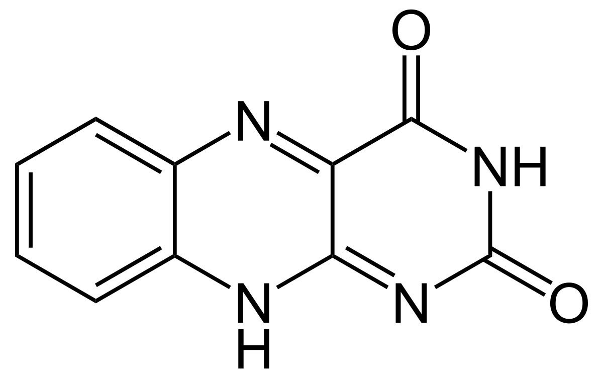 Flavine (groupe)