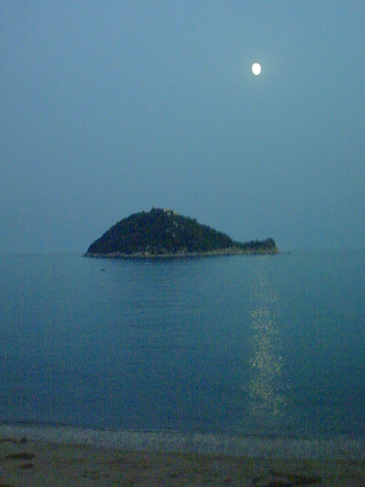 Île Gallinara