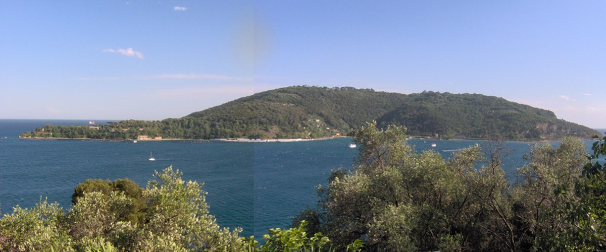 Île de Palmaria