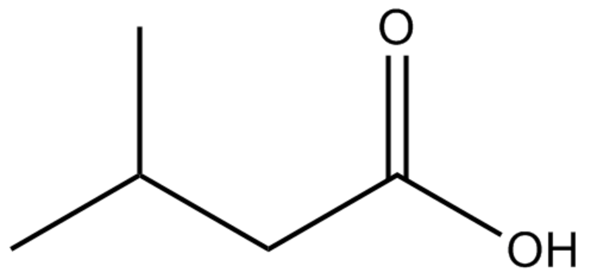 Acide 3-méthylbutanoïque