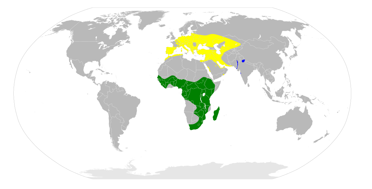Ixobrychus minutus map2.svg