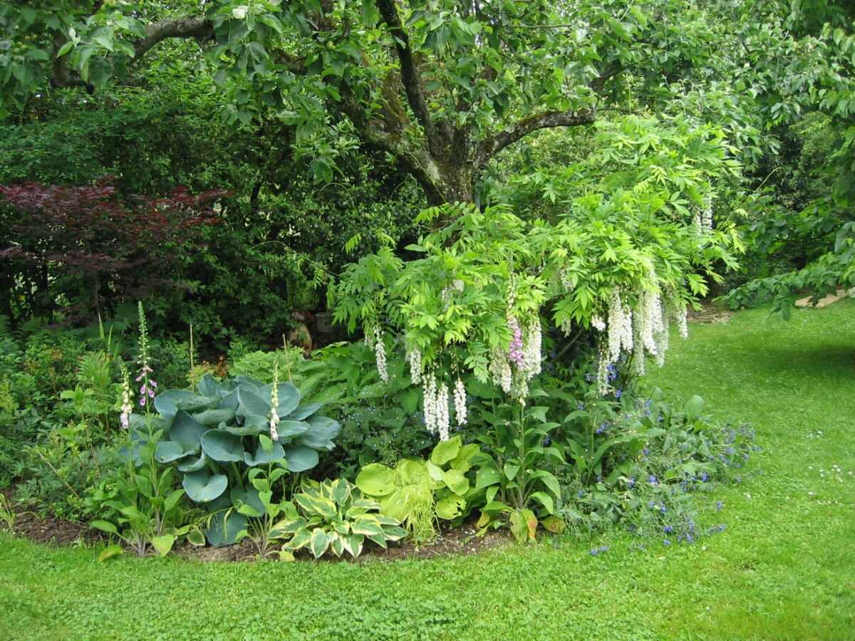 Jardin a la faulx 108.jpg