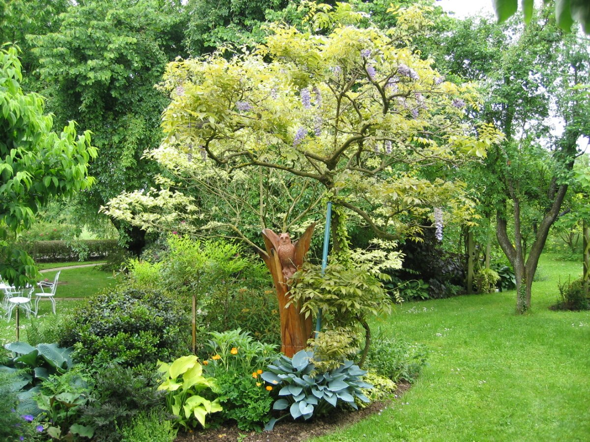 Jardin a la faulx 109.jpg
