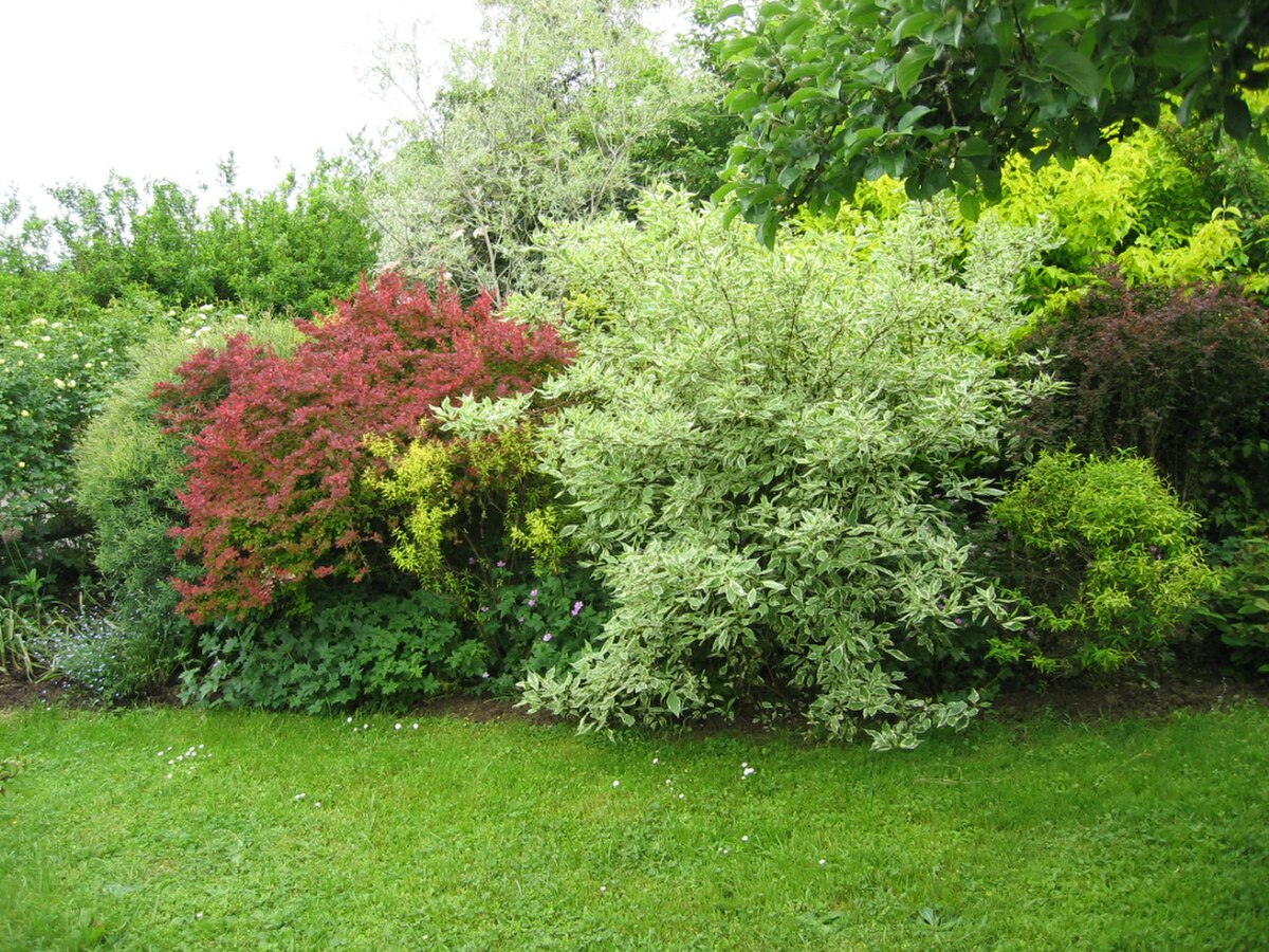 Jardin a la faulx 117.jpg