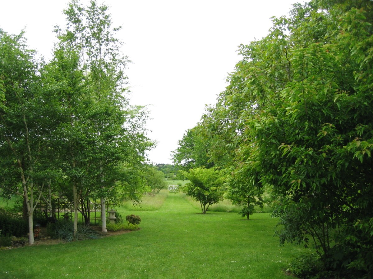 Jardin a la faulx 163.jpg