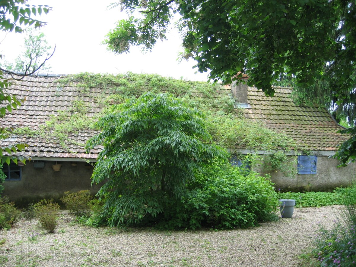 Jardin a la faulx 175.jpg