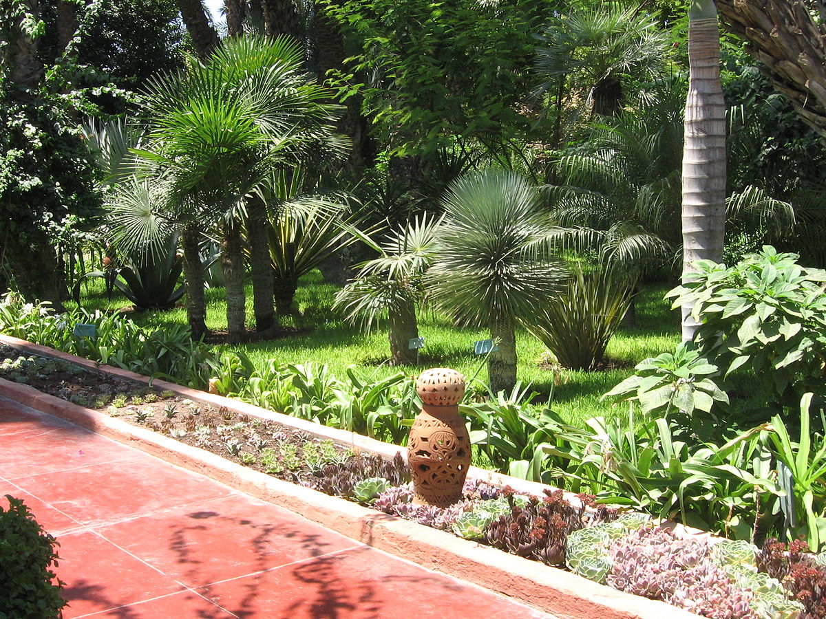 Jardin de majorelle 030.jpg