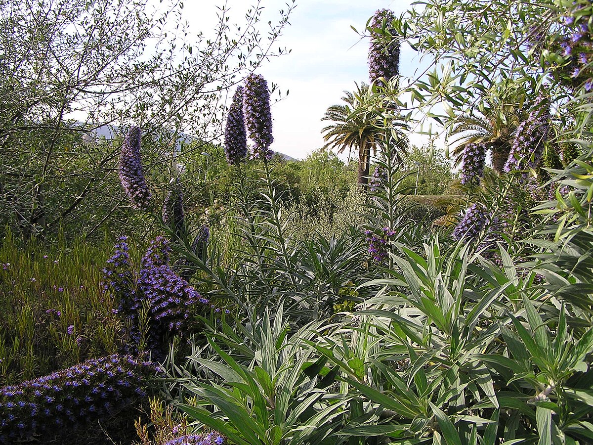 Jardinbotanique16.JPG
