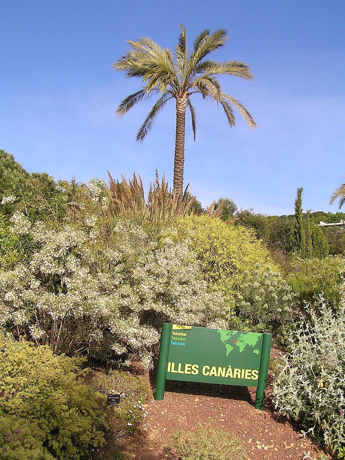 Jardinbotanique18.JPG