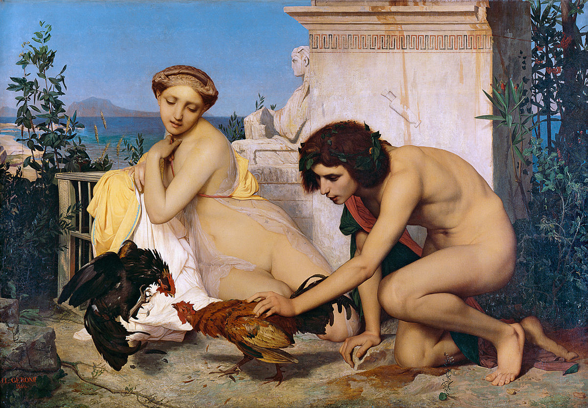 Combat de coqs