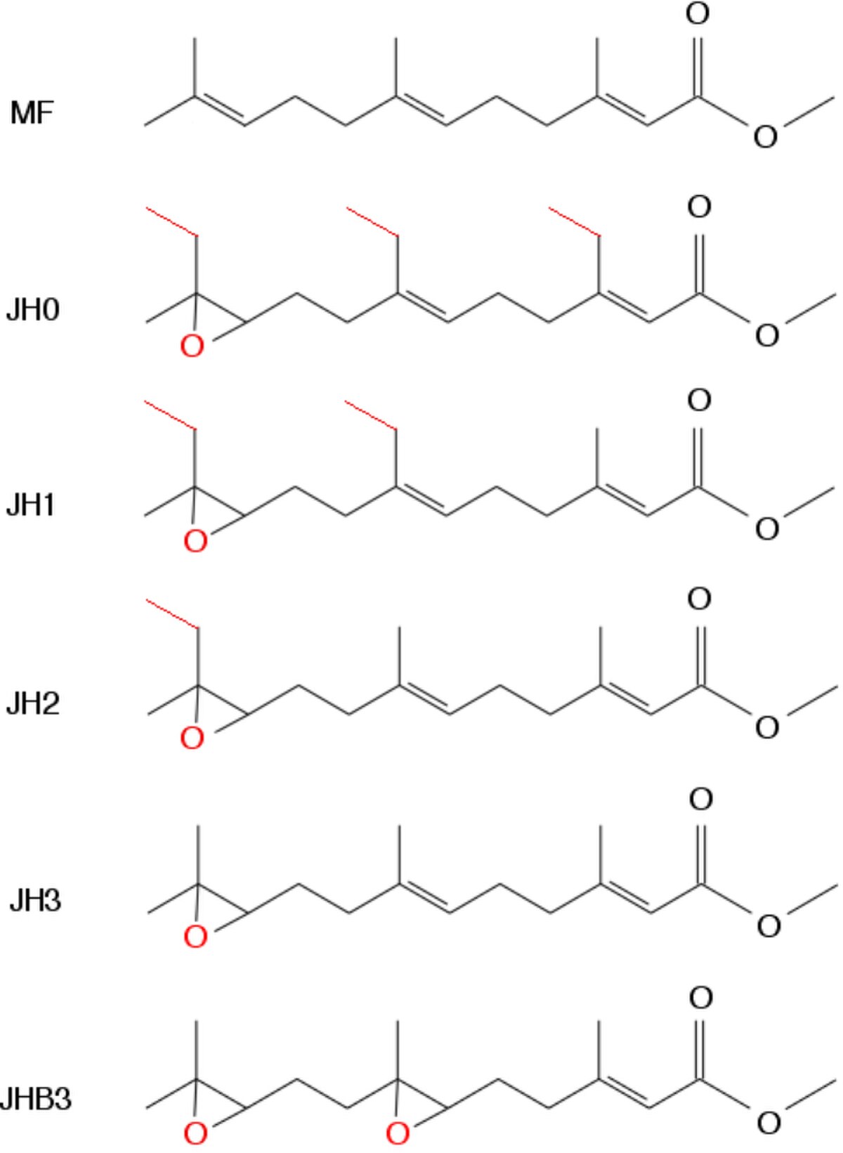 Hormone juvénile