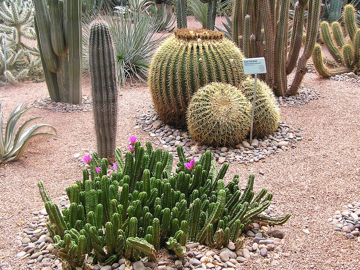 JMajorelle1.30.JPG