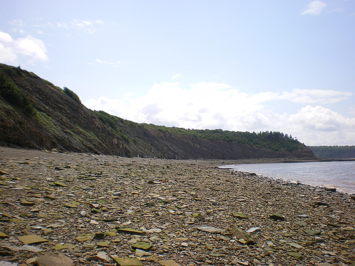 Falaises fossilifères de Joggins