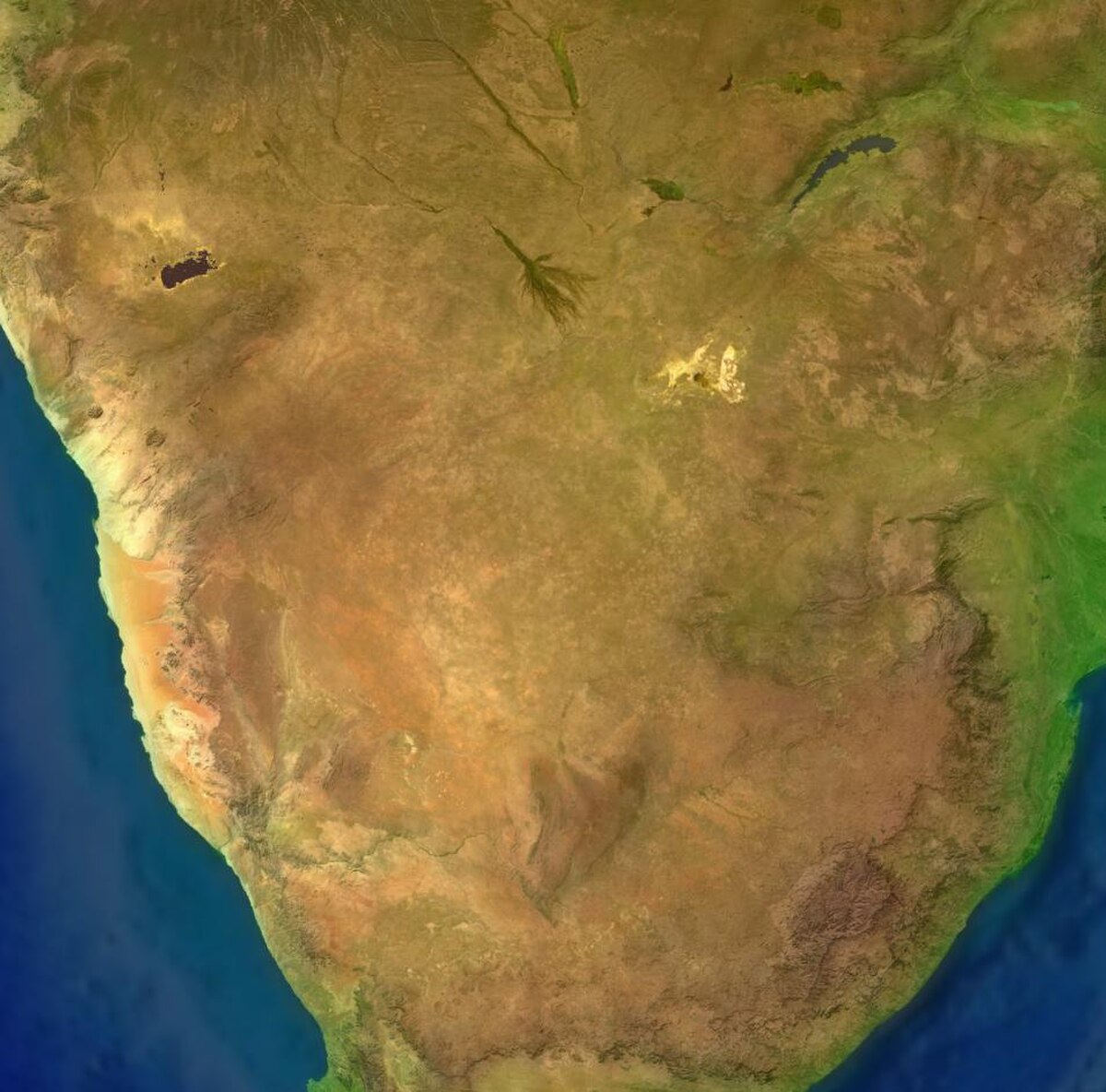 Désert du Kalahari