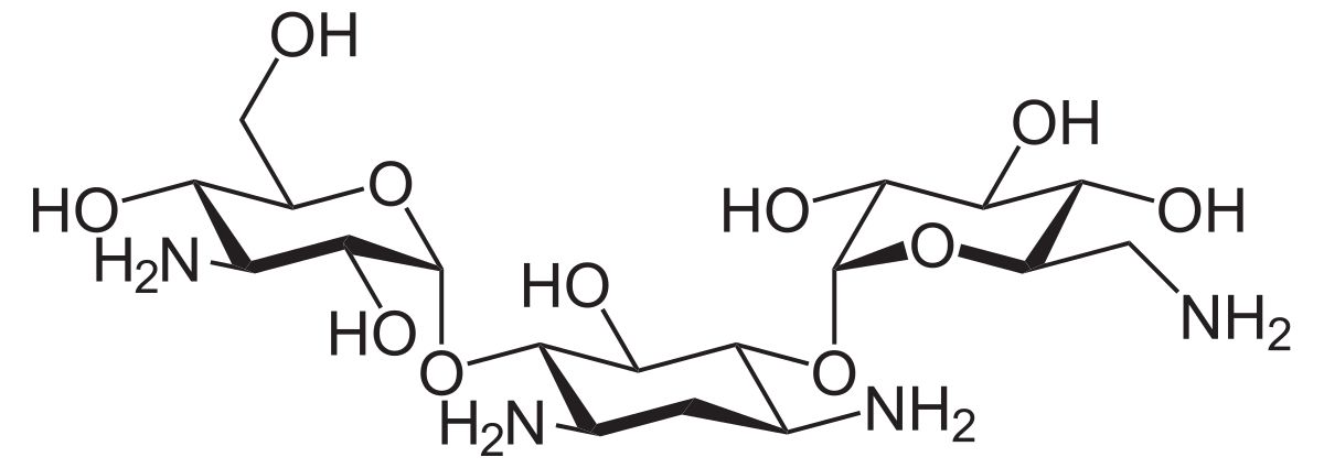 Kanamycine