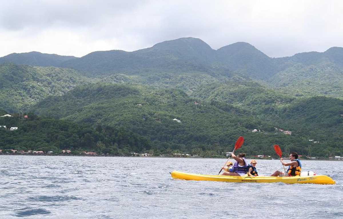 Kayak de mer, sit on top.
