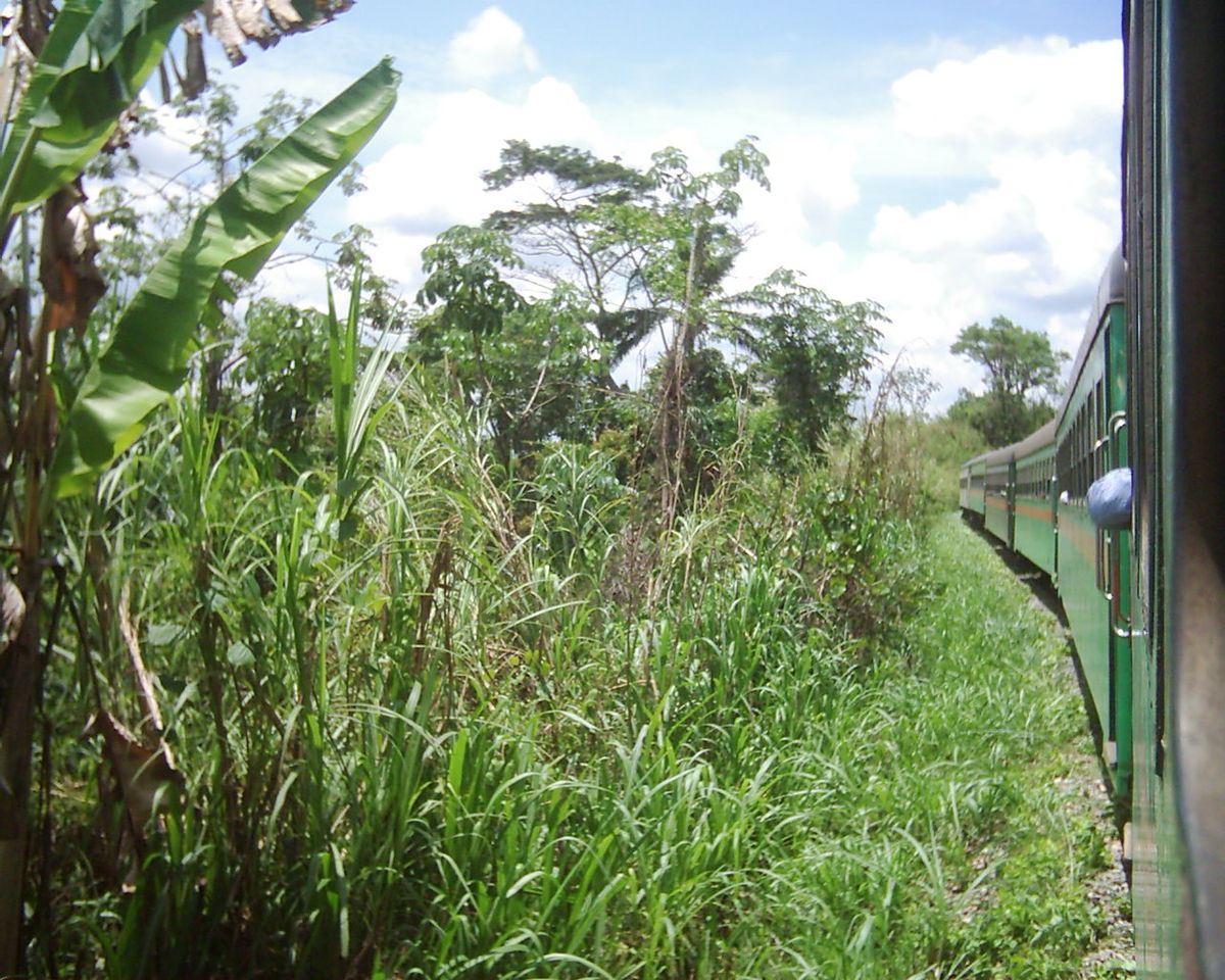 Parcours dans le Bas-Congo oriental
