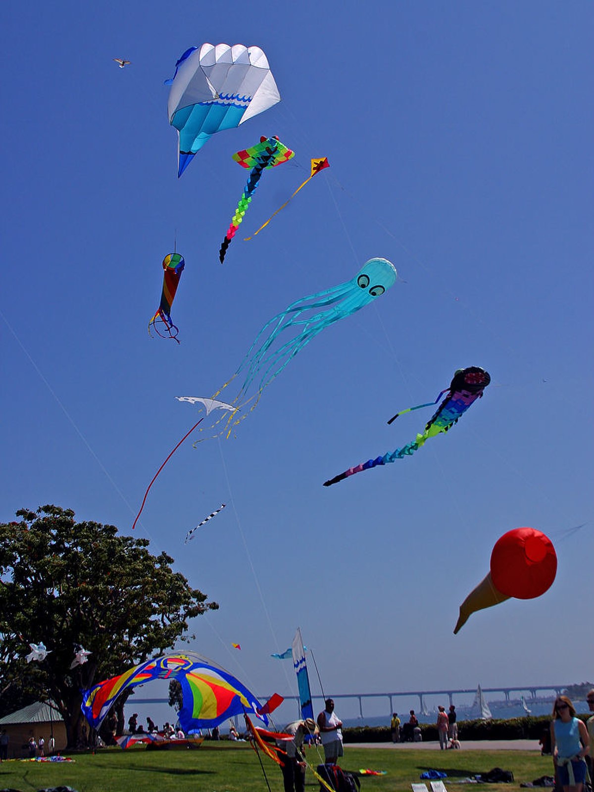 Cerf-volant