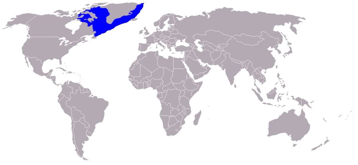 Répartition dans le monde