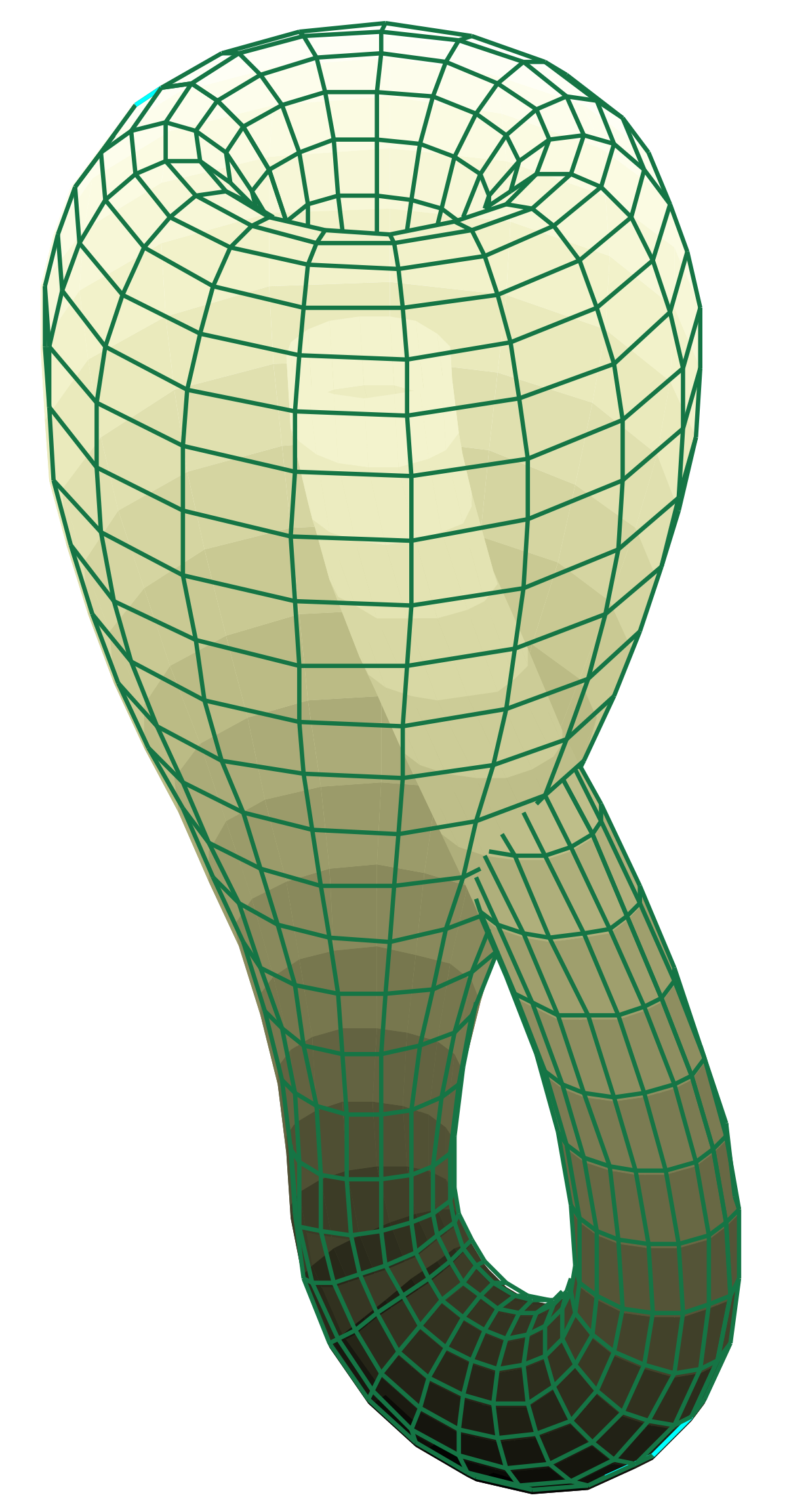Bouteille de Klein