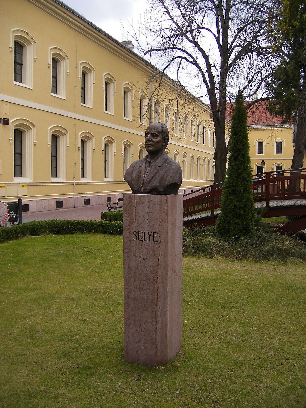 Hans Selye