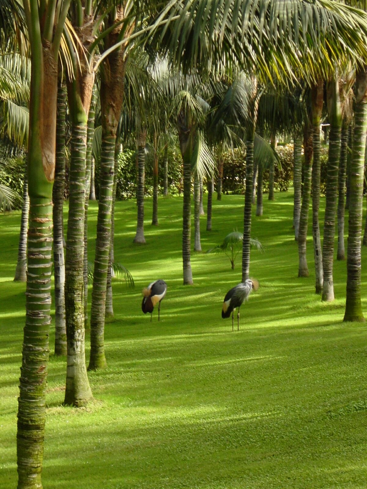 Parc ornithologique