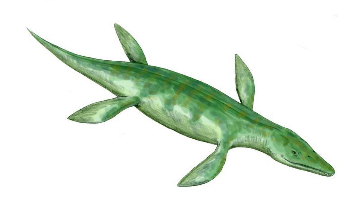 Kronosaurus, un pliosaure