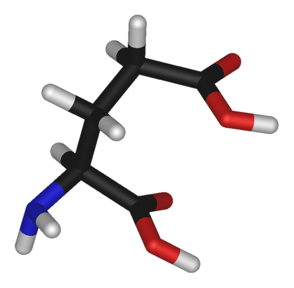 L-glutamic-acid-3D-sticks.png
