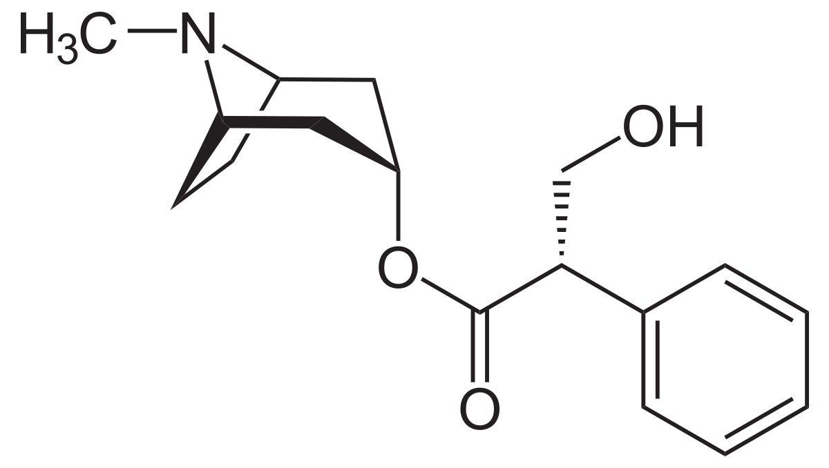 L-Hyoscyamin.svg