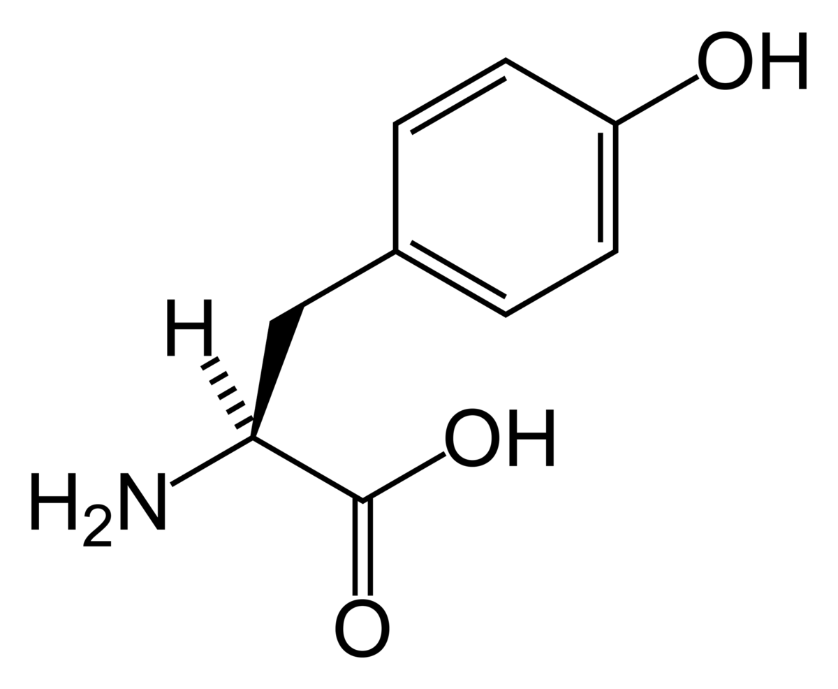 Tyrosine
