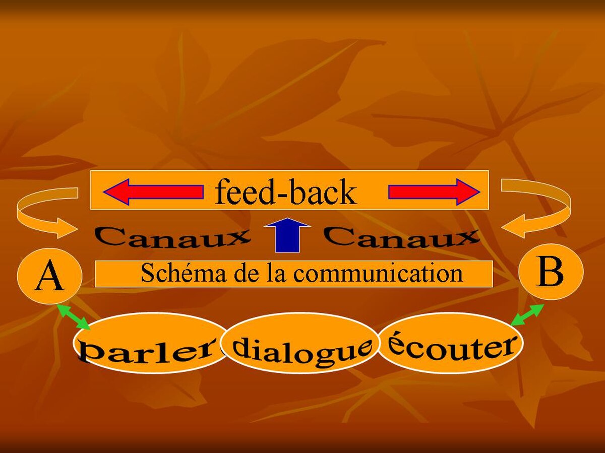 La non directivité