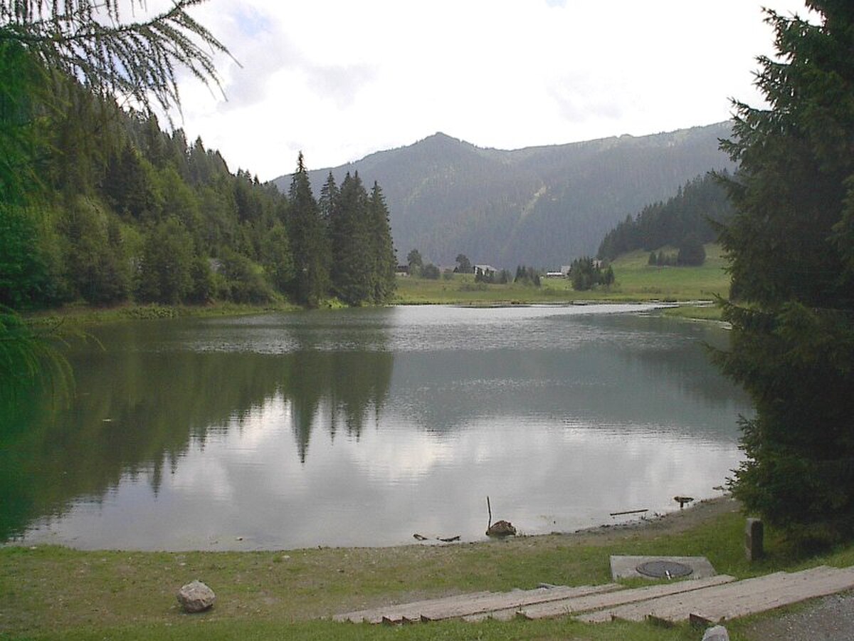 Pas de Morgins