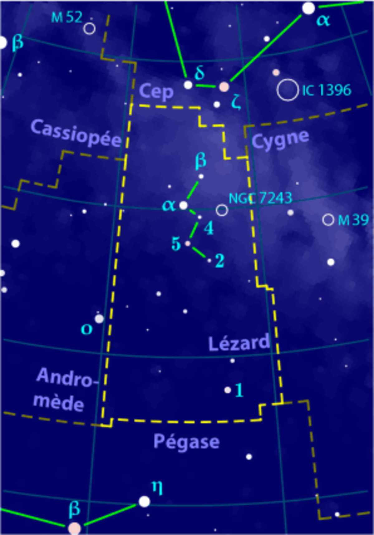 Lézard (constellation)